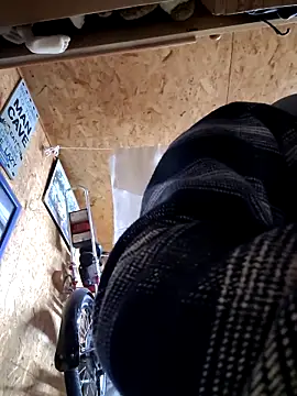 daiwantu online show from 6, 1, 2026