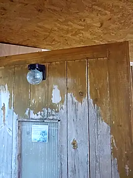 daiwantu online show from 18, 12, 2025