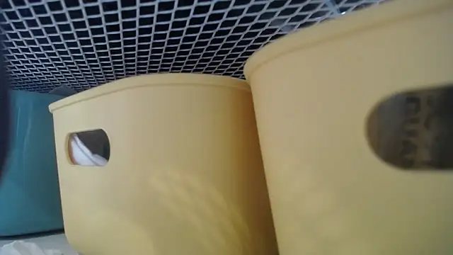 lovense test04 online show from 27, 2, 2026