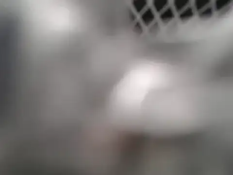 lovense test04 online show from 7, 3, 2025