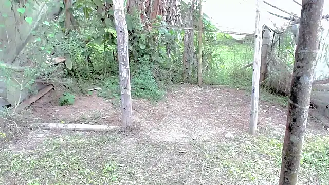 tayiro r online show from 24, 10, 2025