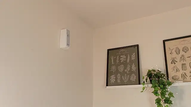 memphiswilliam online show from 17, 2, 2026