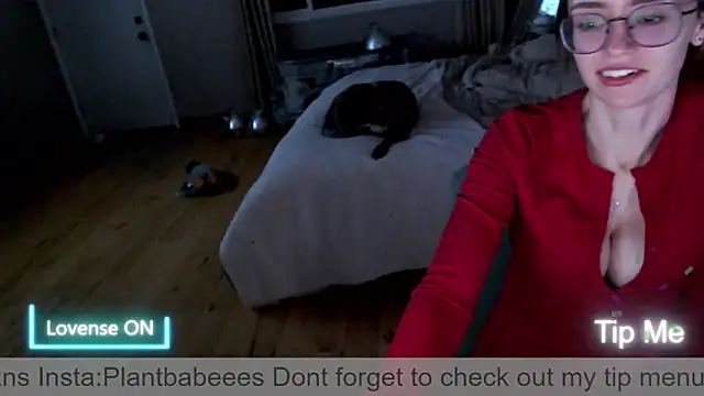 Plantbabeee online show from 25, 3, 2026