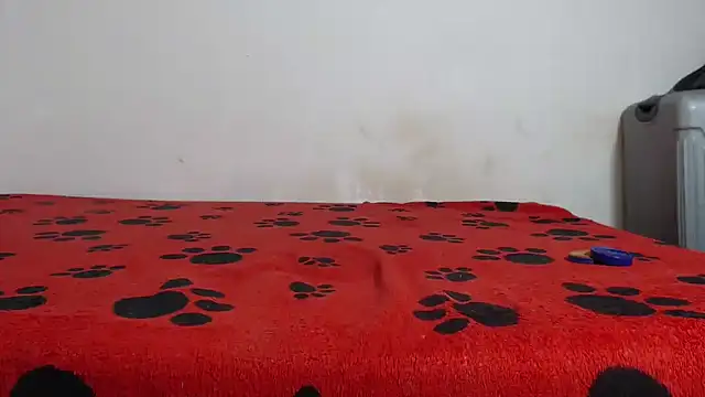 Snapshot of Amazing12inch chatting on 12, 2, 2025 Amazing12inch online show from 12, 2, 2025