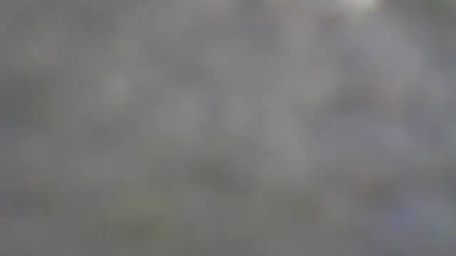 Buddy Cuck online show from 7, 1, 2026