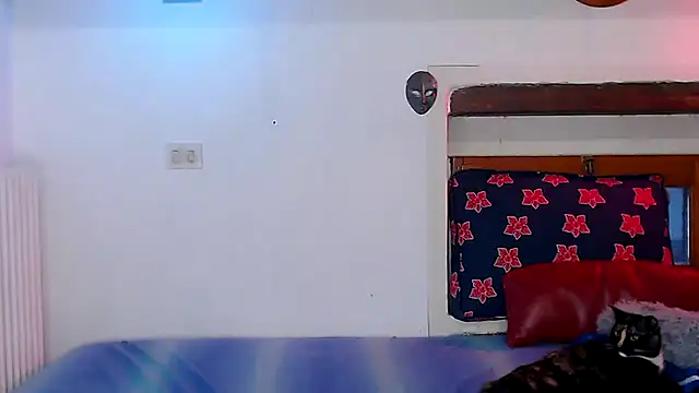 cek 186 online show from 22, 12, 2025