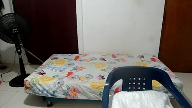 luz stella online show from 16, 5, 2026