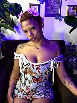 haiiley more online show from 1, 11, 2025