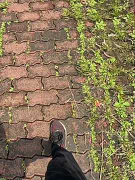 Miss  Malaika online show from 8, 10, 2025