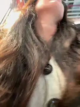 eveangelll online show from 5, 12, 2025