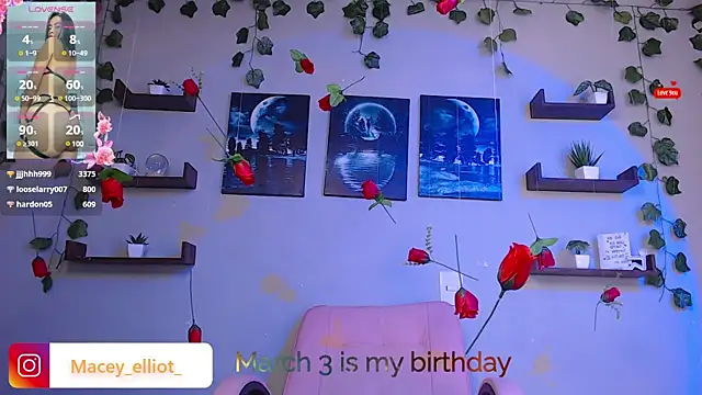Snapshot of macey_elliot_ chatting on 26, 2, 2025 macey elliot online show from 26, 2, 2025