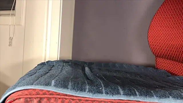 brsrkr online show from 5, 12, 2025