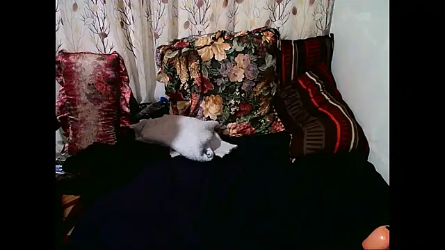 Indian Blaze00 online show from 13, 10, 2025