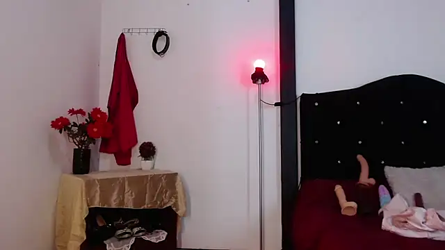 sirax66 online show from 13, 2, 2025