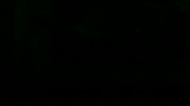 markluvskitty online show from 12, 4, 2026