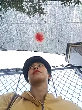 2HotAsain4u online show from 11, 4, 2026