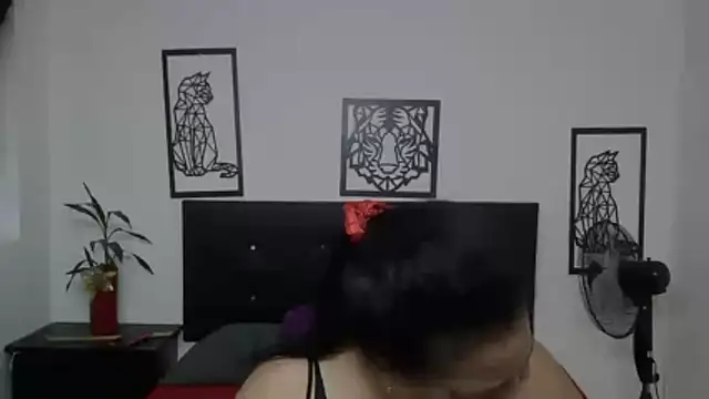 Shanttal0272 online show from 28, 11, 2025