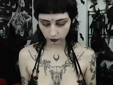 n0sferatus   online show from 18, 6, 2026