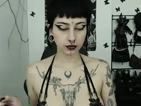 n0sferatus   online show from 29, 11, 2025