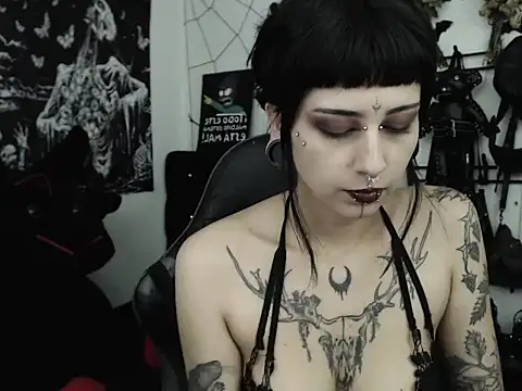n0sferatus   online show from 24, 6, 2026