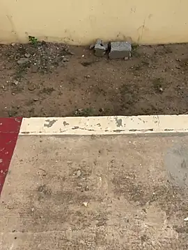 Black-mamba-madingo online show from 18, 4, 2026