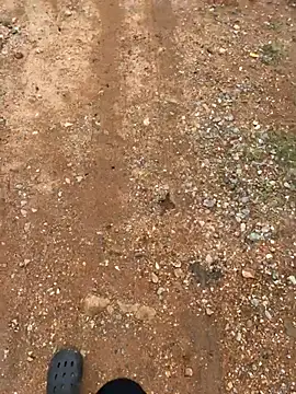 Black-mamba-madingo online show from 29, 3, 2026