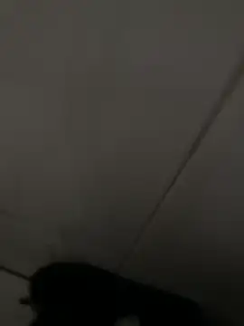 Black-mamba-madingo online show from 16, 4, 2026