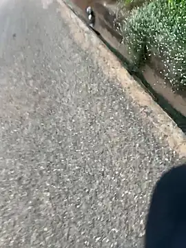 Black-mamba-madingo online show from 16, 4, 2026