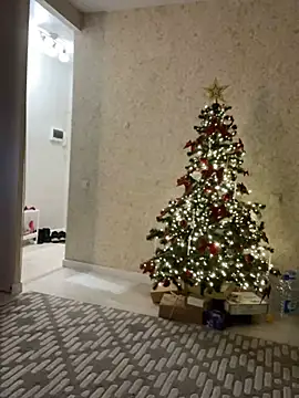 Big Mini online show from 25, 12, 2024