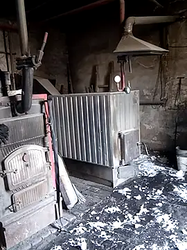 MityaXLoves online show from 20, 3, 2026