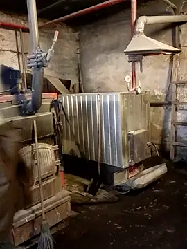 MityaXLoves online show from 11, 1, 2026