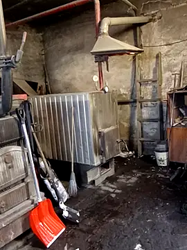 MityaXLoves online show from 19, 1, 2026