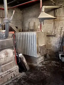 MityaXLoves online show from 21, 4, 2026