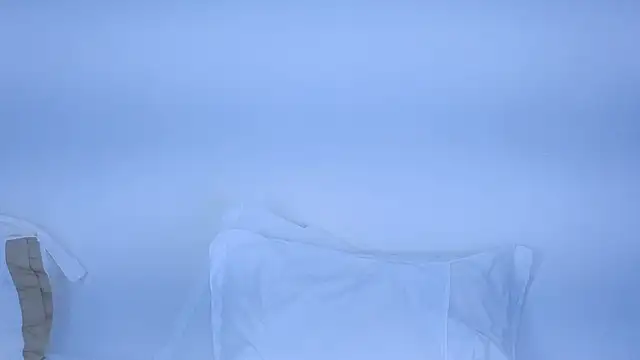 Snapshot of sorafire chatting on 8, 3, 2025 sorafire online show from 8, 3, 2025