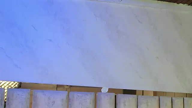 barbara cambels online show from 13, 1, 2026