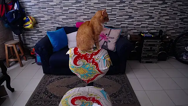 VioletaGomezCo online show from 20, 3, 2026