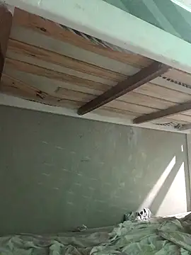 puak6666 online show from 14, 11, 2025