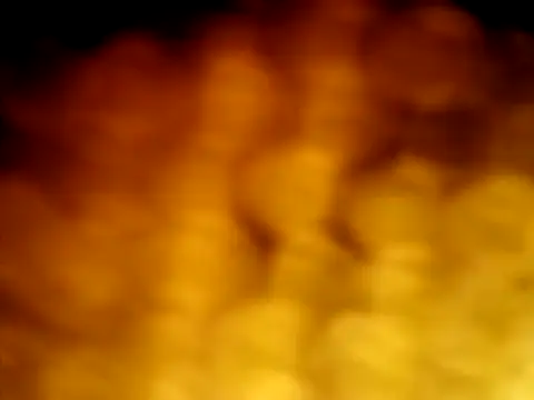 puak6666 online show from 5, 4, 2026