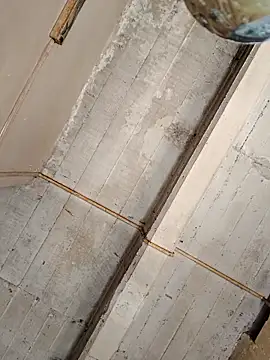 puak6666 online show from 23, 10, 2025