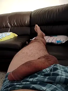 italovene online show from 26, 2, 2026