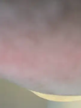 ashley Tompson1 online show from 19, 3, 2026