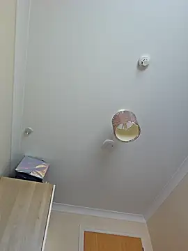 meateater1 online show from 1, 11, 2025