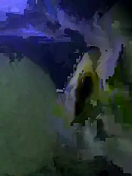 deleware806 online show from 1, 2, 2026