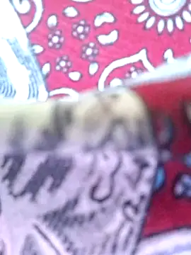 Priya Bong online show from 29, 3, 2026