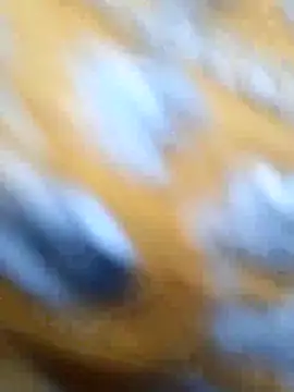 Snapshot of Priya_Bong chatting on 29, 5, 2026 Priya Bong online show from 29, 5, 2026