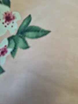 Priya Bong online show from 10, 3, 2026