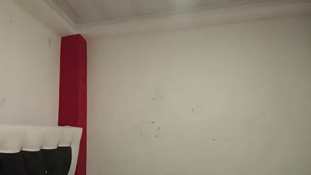 Snapshot of Katty_Bones chatting on 5, 11, 2025 Katty Bones online show from 5, 11, 2025