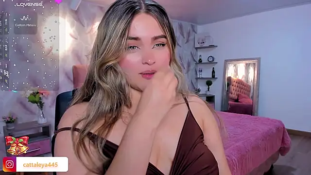 cattaleya    online show from 19, 11, 2025