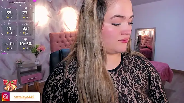 cattaleya    online show from 28, 11, 2025