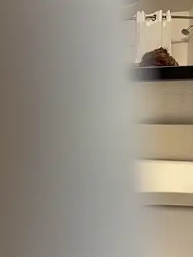 JoWheelsss online show from 5, 3, 2026